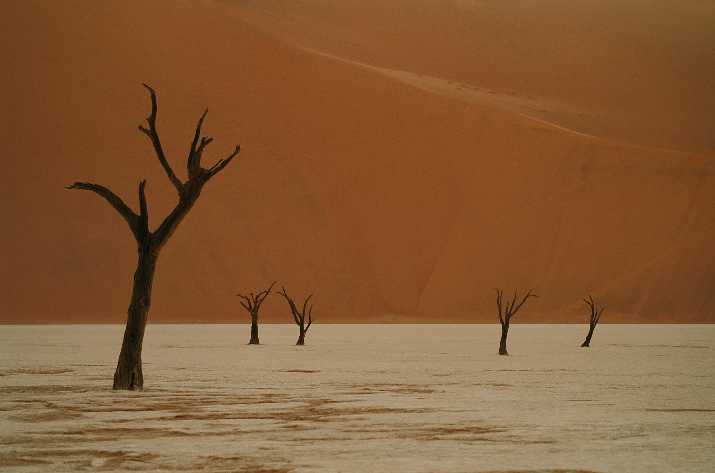 namibia cover